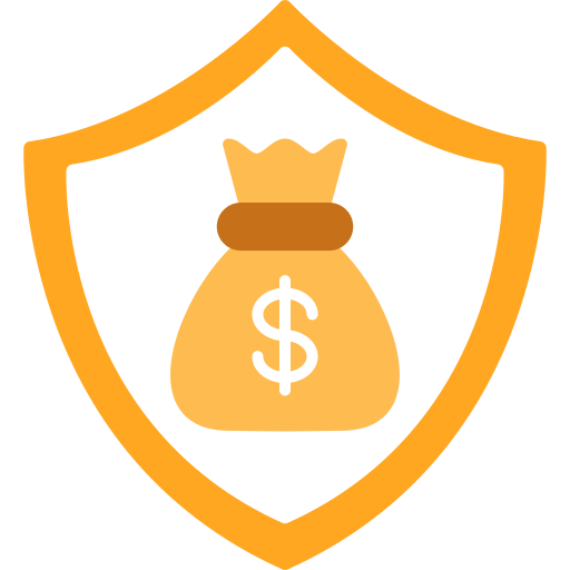 Money Insurance icon